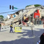 Earthquake-Resilient Timber Buildings: A Sustainable Solution