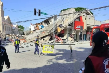 Earthquake-Resilient Timber Buildings: A Sustainable Solution