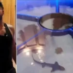 Jason Derulo Faces Backlash Over Shark and Ray Floor Aquarium