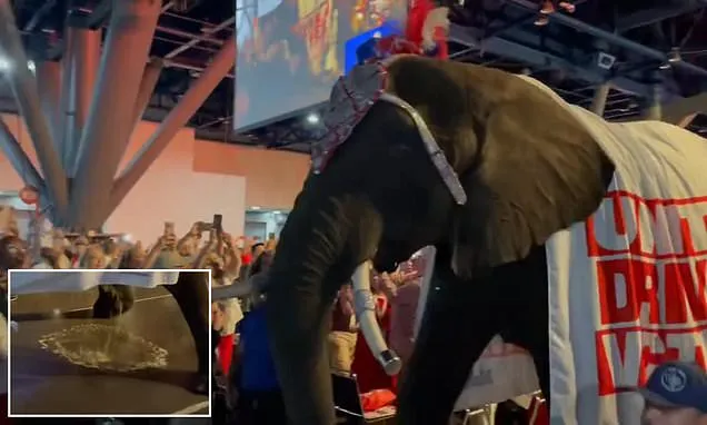 Elephant Urinates at Texas GOP Convention, Sparks Social Media Buzz