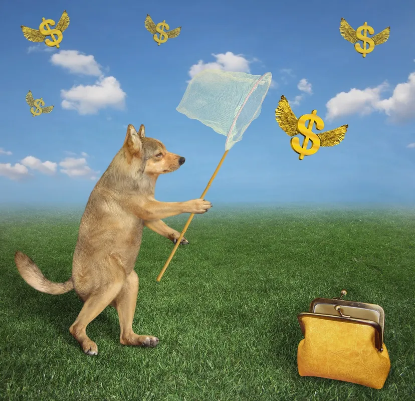 25 Top Dividend Stocks for June: Safer Options