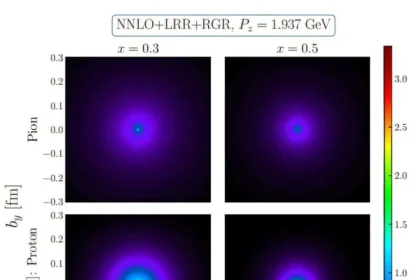 Supercomputer Maps Subatomic Particle Crucial to Matter