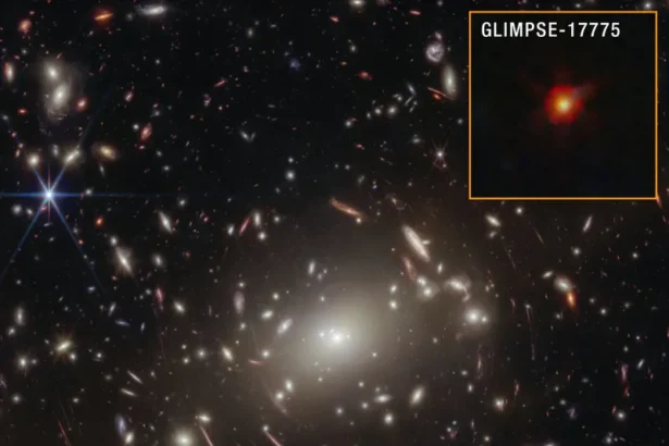 Cosmic Puzzle Solved: ‘Little Red Dots’ Identified as Black Hole Stars
