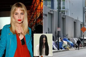 Friends Searched Skid Row for ‘The Ring’ Star Daveigh Chase Before Death