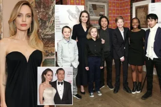 Angelina Jolie’s Fighting Spirit Returns, Fueled by Children Post-Divorce