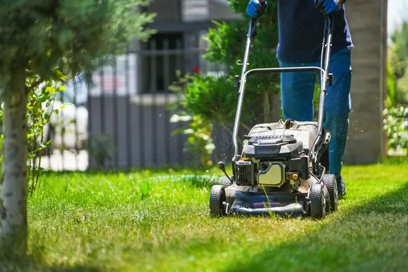 Gardener’s Shocking £600 Quote Leads to Unexpected Kindness