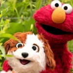 Elmo’s ‘Patriot’ Label Sparks GOP Funding Backlash