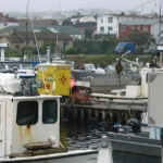 Vast Fish Discards Revealed in Saint Pierre and Miquelon Fisheries