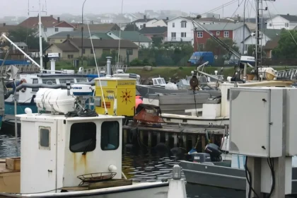 Vast Fish Discards Revealed in Saint Pierre and Miquelon Fisheries