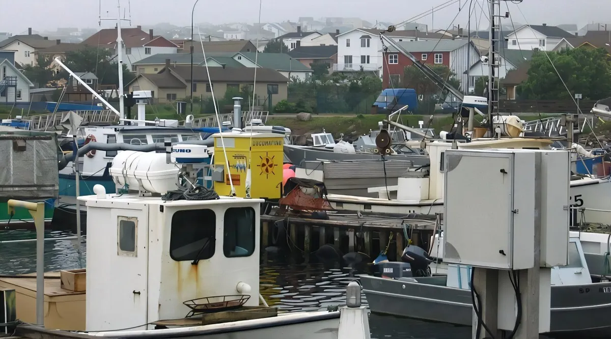 Vast Fish Discards Revealed in Saint Pierre and Miquelon Fisheries