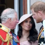 King Charles May Not Meet Prince Harry During UK Visit